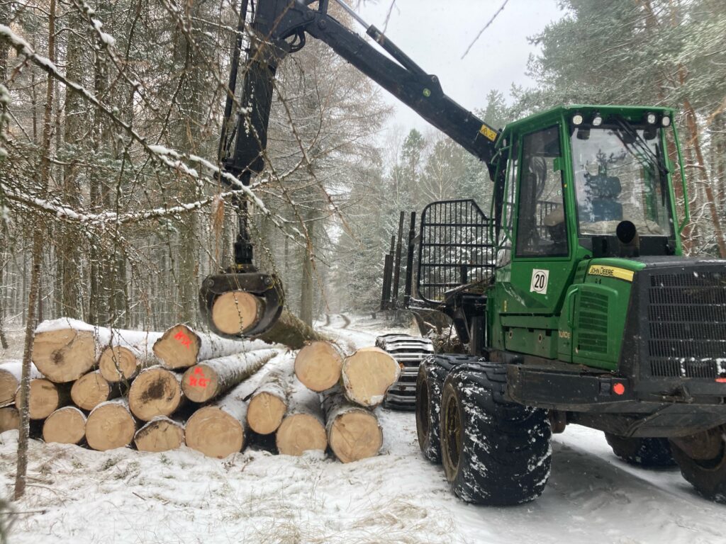 Rückezug auf Forstweg mit Fichtenstämmen im Schnee